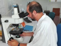Tibor Burger skúma vzorku v mikroskope.jpg